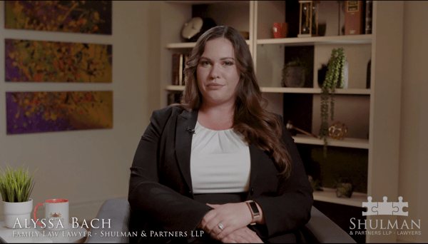 What is a Parenting Plan?