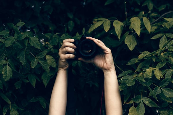 Don’t Believe Everything You See On TV: Limitations Of Private Investigations