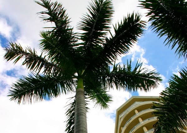 More on “Snowbirds” and Court Jurisdiction Over Support and Property Claims