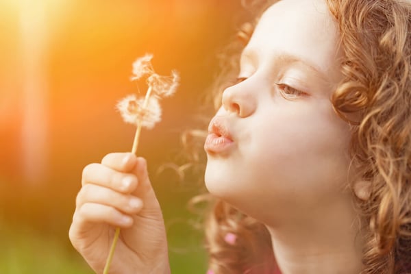 Child Protection Basics