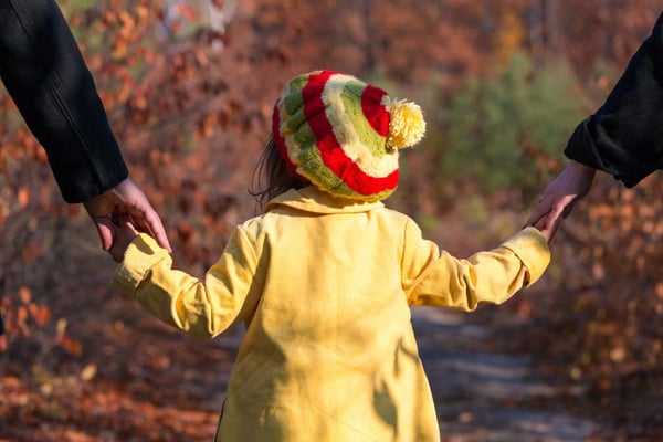 Ontario Child Support, Custody and Access: Fundamental Principles