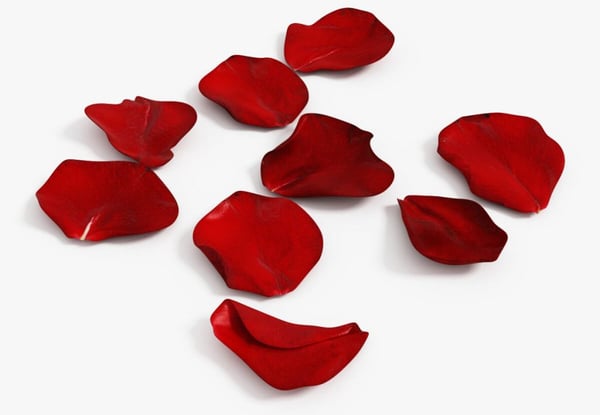 Going Through a Divorce? 5 Ways to Love Yourself this Valentines Day.