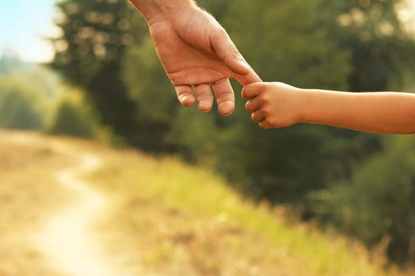 What is the Role of the Office of the Children’s Lawyer?