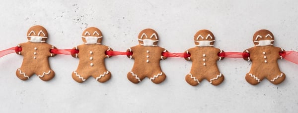 Holiday Survival for Co-Parents: Pandemic and Cop