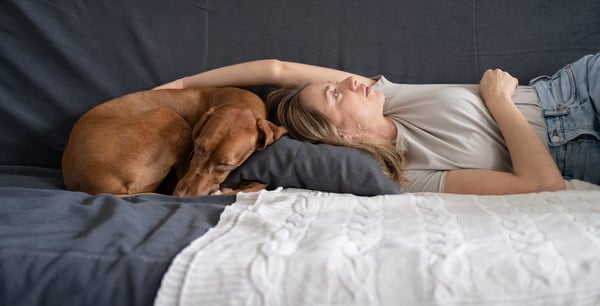 Pets and Divorce: Dividing the Dog
