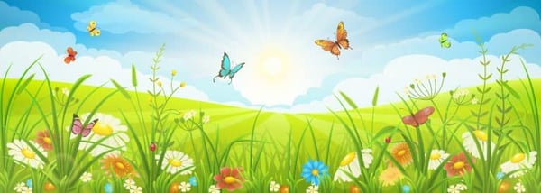 Spring Forward: 3 Activities to Start Your New Chapter Post-Divorce